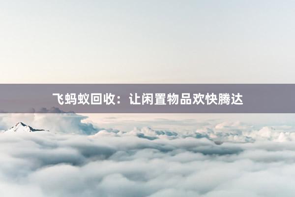 飞蚂蚁回收：让闲置物品欢快腾达